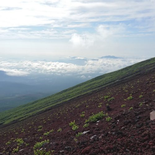 Appreciating the Steepness  | Photo by Anuki's Corner